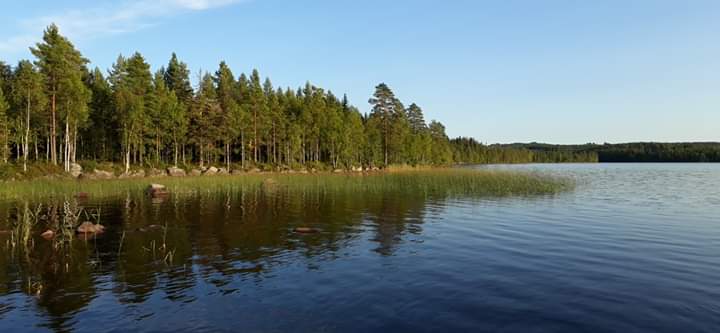 Word lid van Fika Zweden facebookgroep!