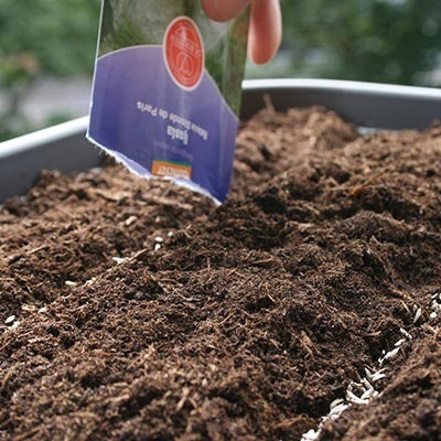 Pre-order - Tuin - De Bolster