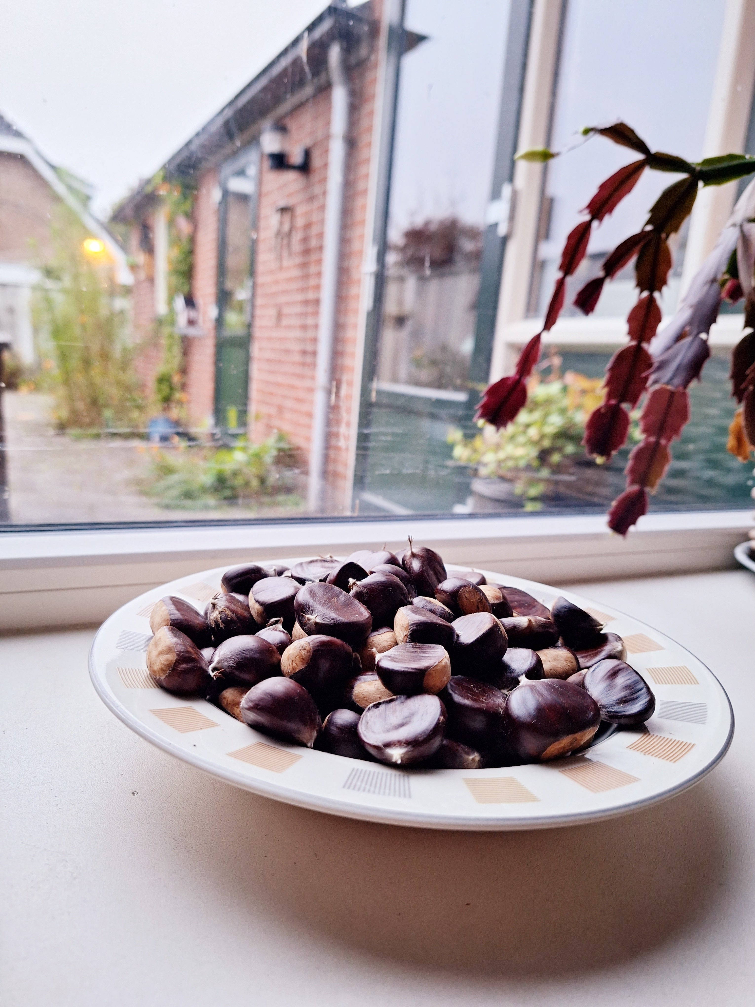 Verse Tamme Kastanjes 500 gram