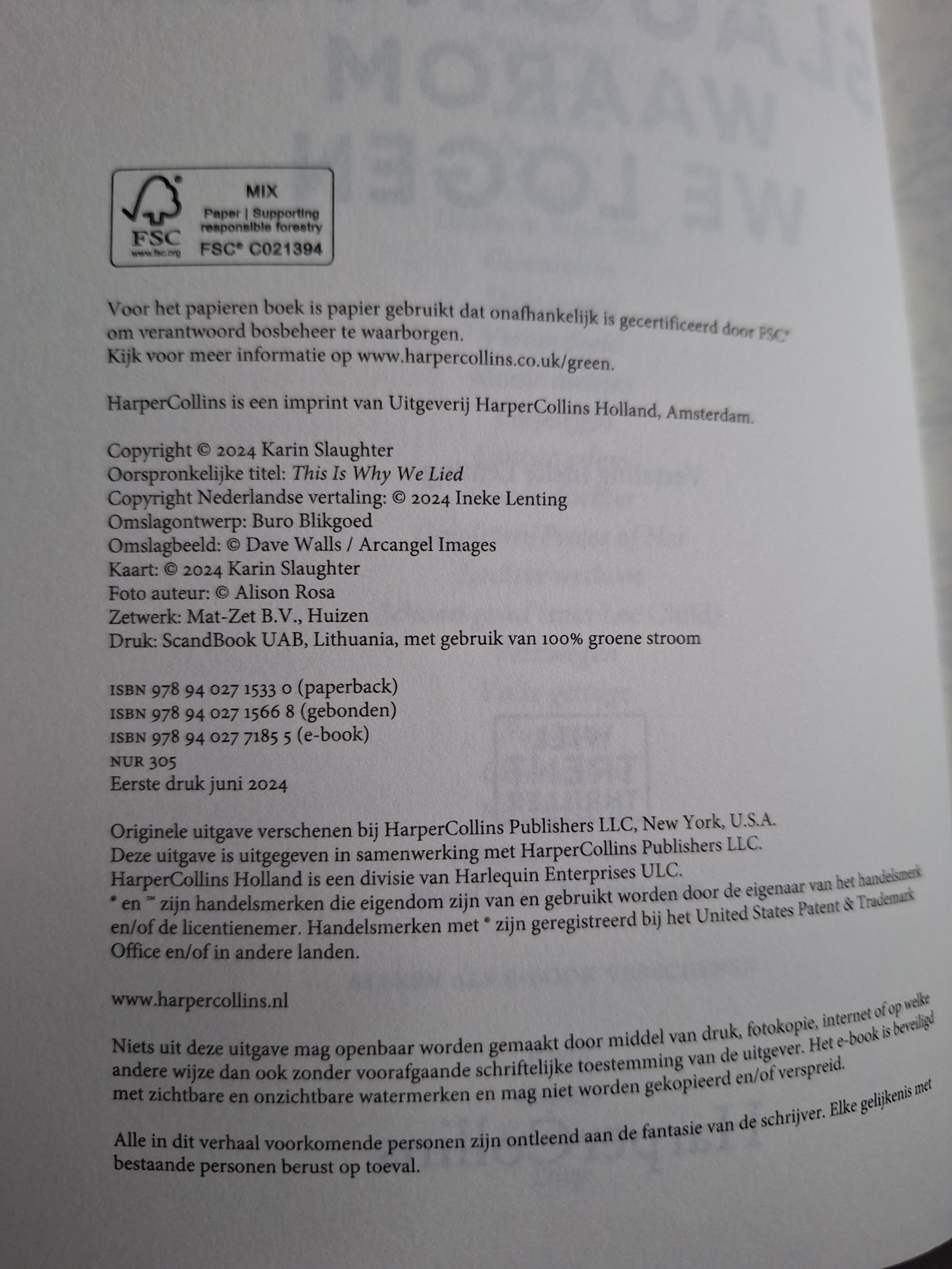 Waarom we logen - Karin Slaughter - 2dehands gebruikt