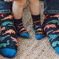 Dinosaurs Socks / Baby / Kids / Adult - Faves. Socks&Friends