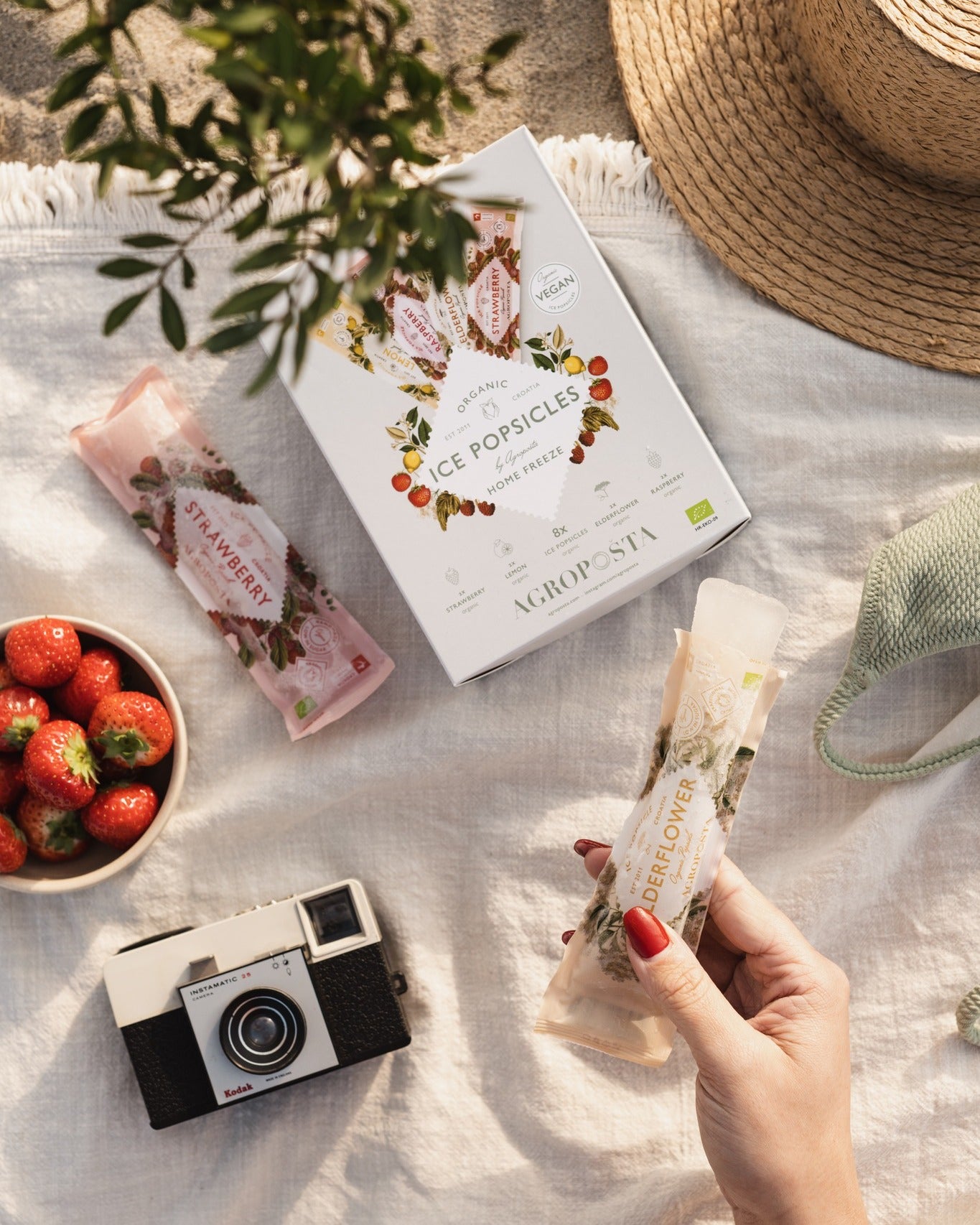 BIO Vlierbloesem IJslolly / Elderflower Ice Popsicle 50ml – Agropošta