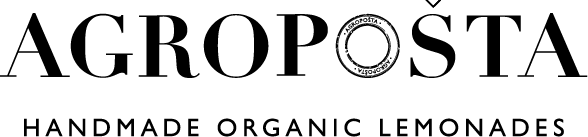 BIO Aardbei IJslolly / Strawberry Ice Popsicle 50ml – Agropošta