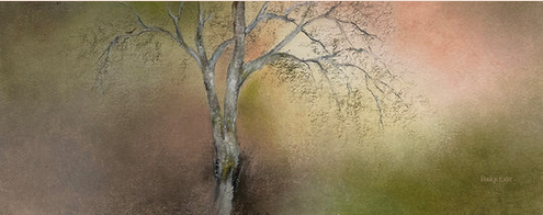 Lichtkaart Birch Tree Light Wish – Baukje Exler