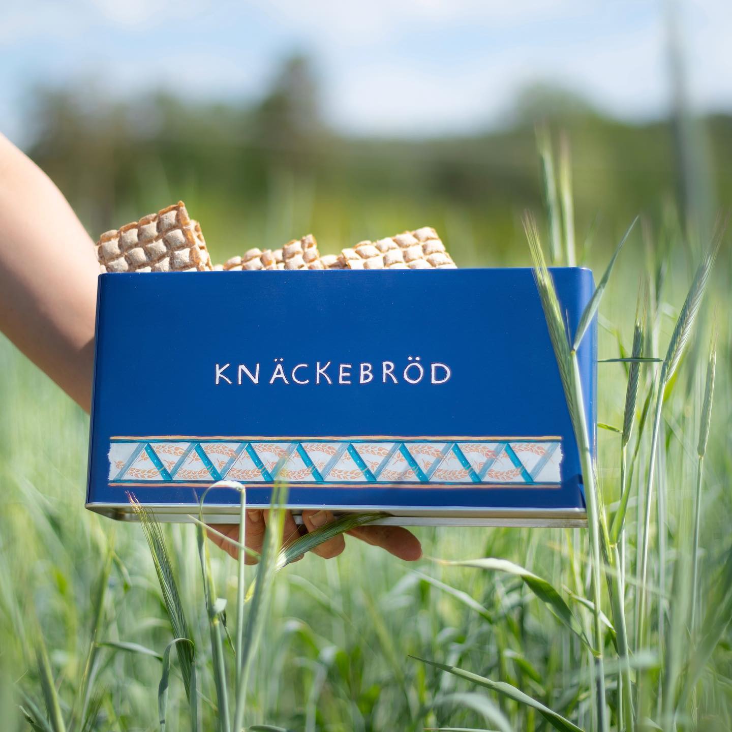Blauw Rechthoek opberg blik Knäckebröd – Leksands Knäckebröd