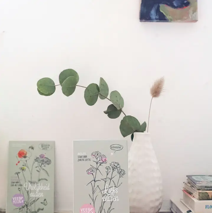 Bloemenzaden 'Liefs zaaien' met Anjelier - Veer&Moon