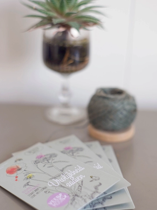 Bloemenzaden 'Vrolijkheid zaaien' met kleurige bloemenwijde - Veer&Moon