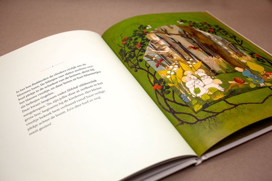 Het verhaal van de wortelkindertjes - Sibylle von Olfers