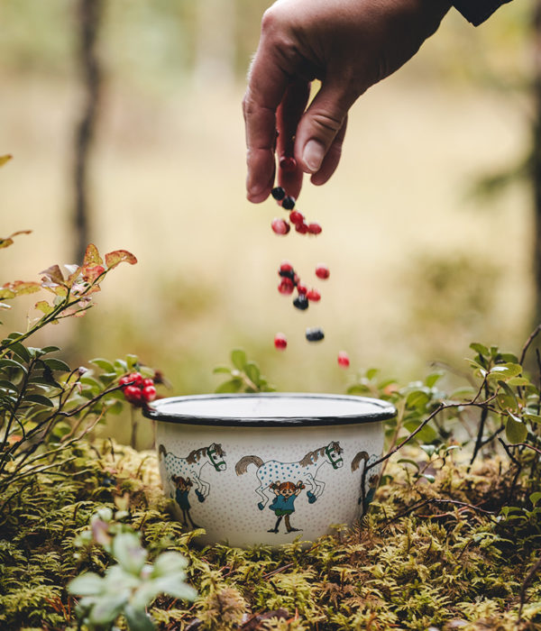 Pippi Langkous enamel bowl Pippi and the Horse 6dl – Muurla