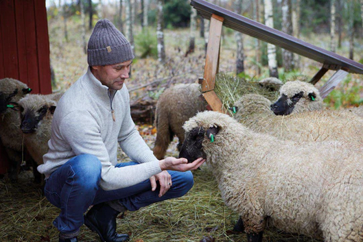 Trui NLS Elm Half Zip Natural White - Ivanhoe of Sweden