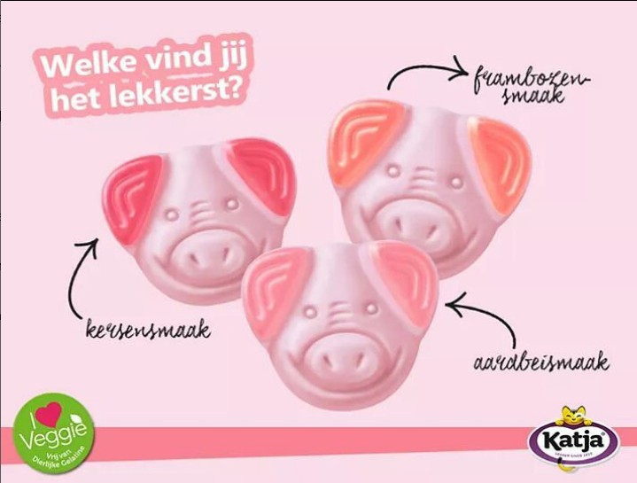 Biggetjes 255 of 500 gram (Vegan) - Katja