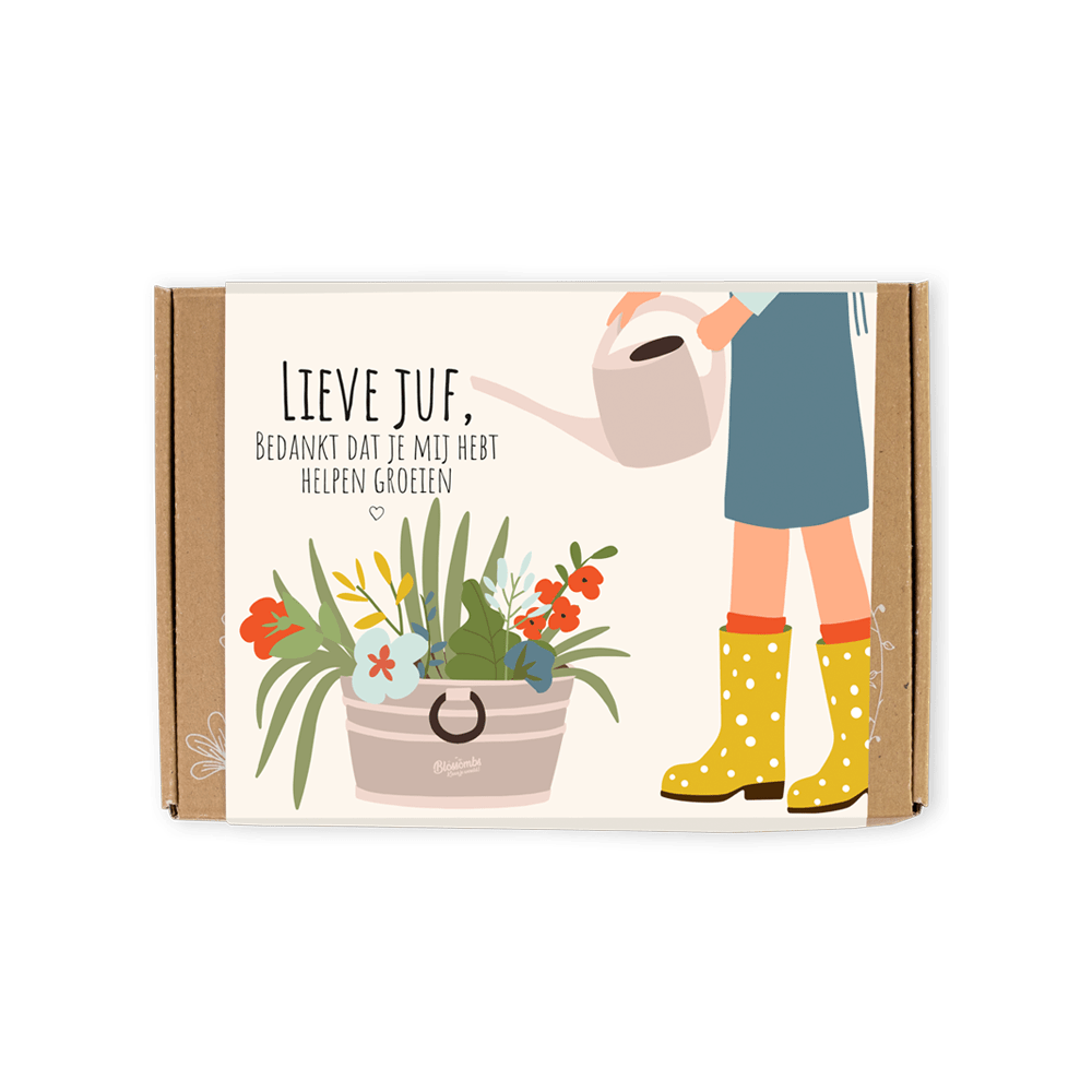 Zaadbommetjes Giftbox Small "Lieve Juf" - Blossombs