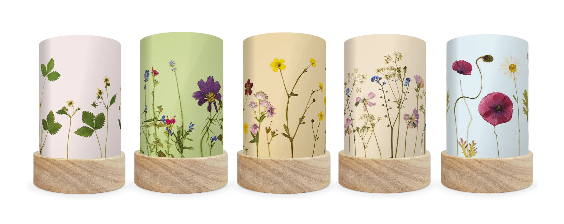 Toverlux Shades Set Pressed Flower Blooms / Droogbloemen – Beth Kendall