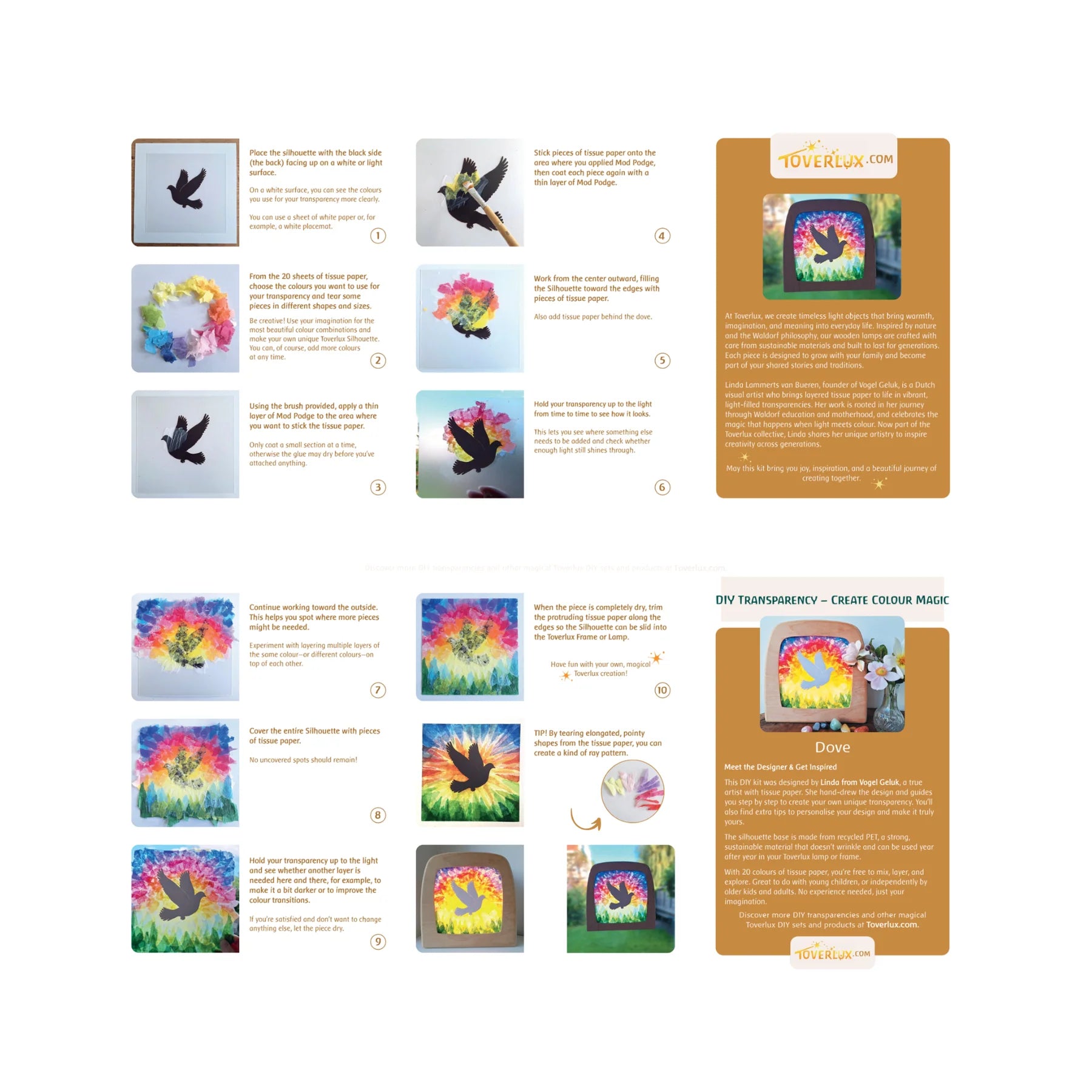 DIY Transparency Kit Dove - Lente – Vogel Geluk