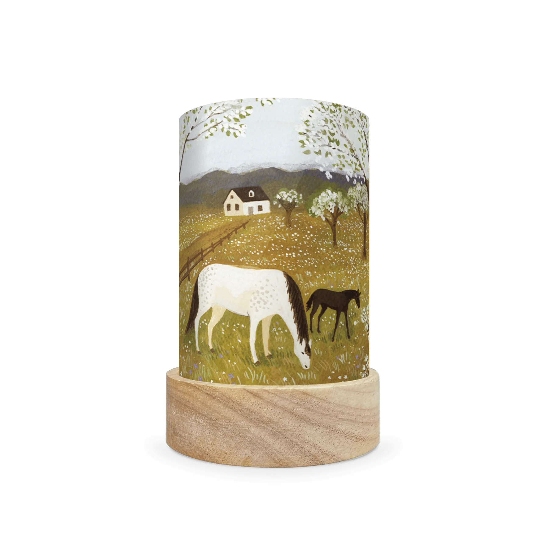 Toverlux Shades Set – Robin Pieterse