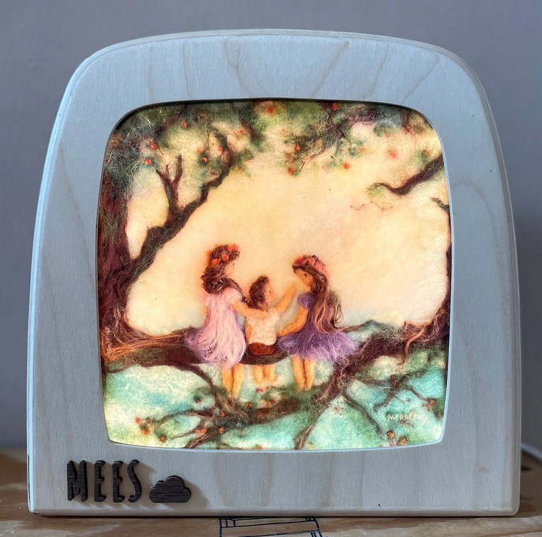 Toverplaat F43. Grote zussen kleine broer – Het Wol Feetje