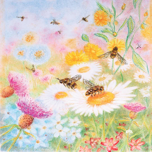 Toverplaat Bee Pastures Light Silhouette – Kaptein Kalk