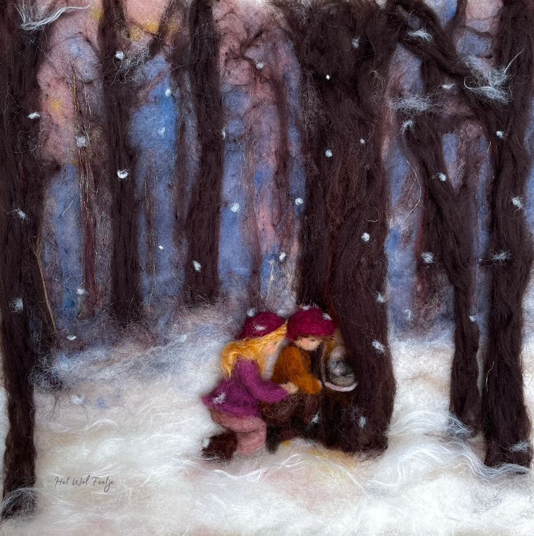 Toverplaat 38. Winterontdekkingen – Het Wol Feetje