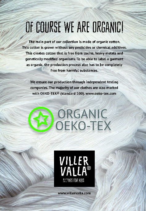 Longsleeve / Shirt LS Winter Magic Rosehip - Villervalla