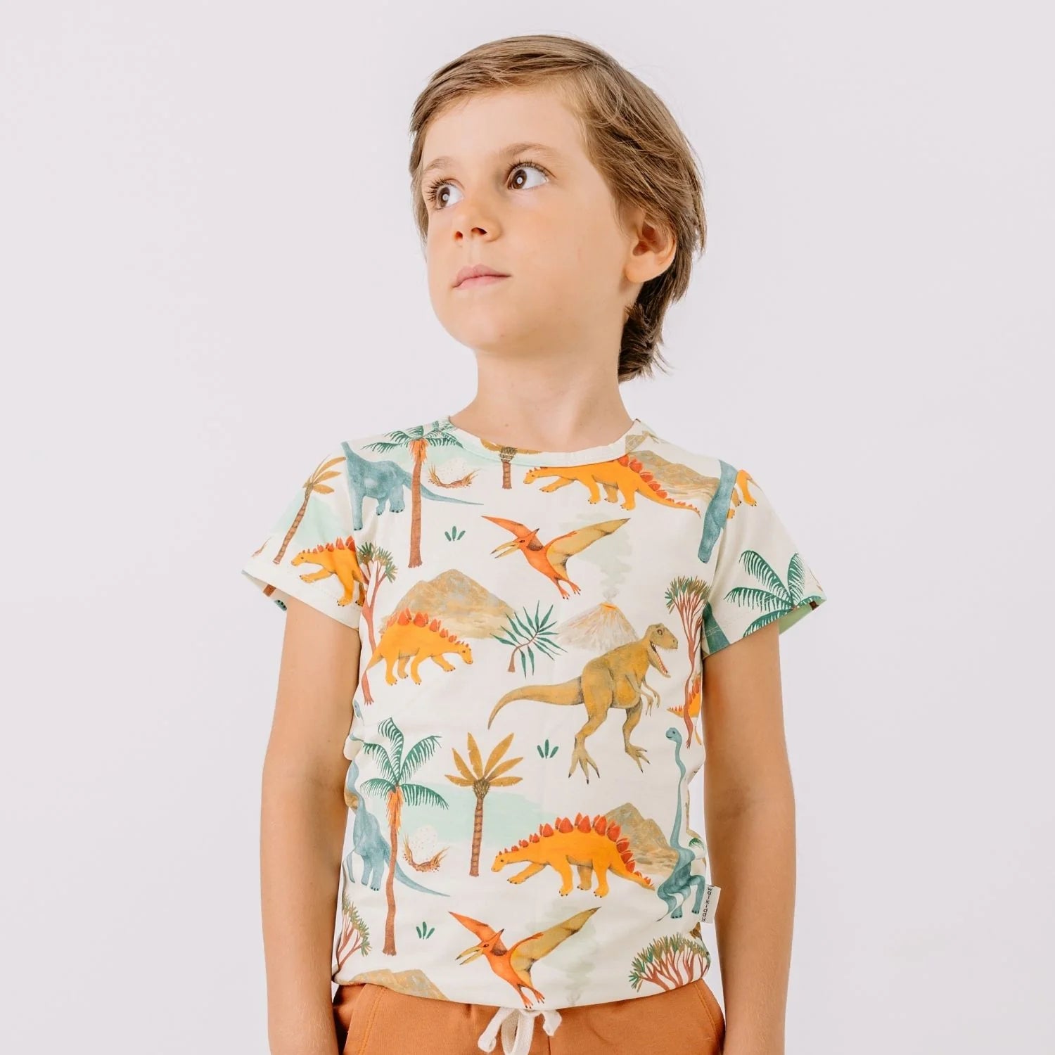 T-shirt Dinosaurs - Walkiddy