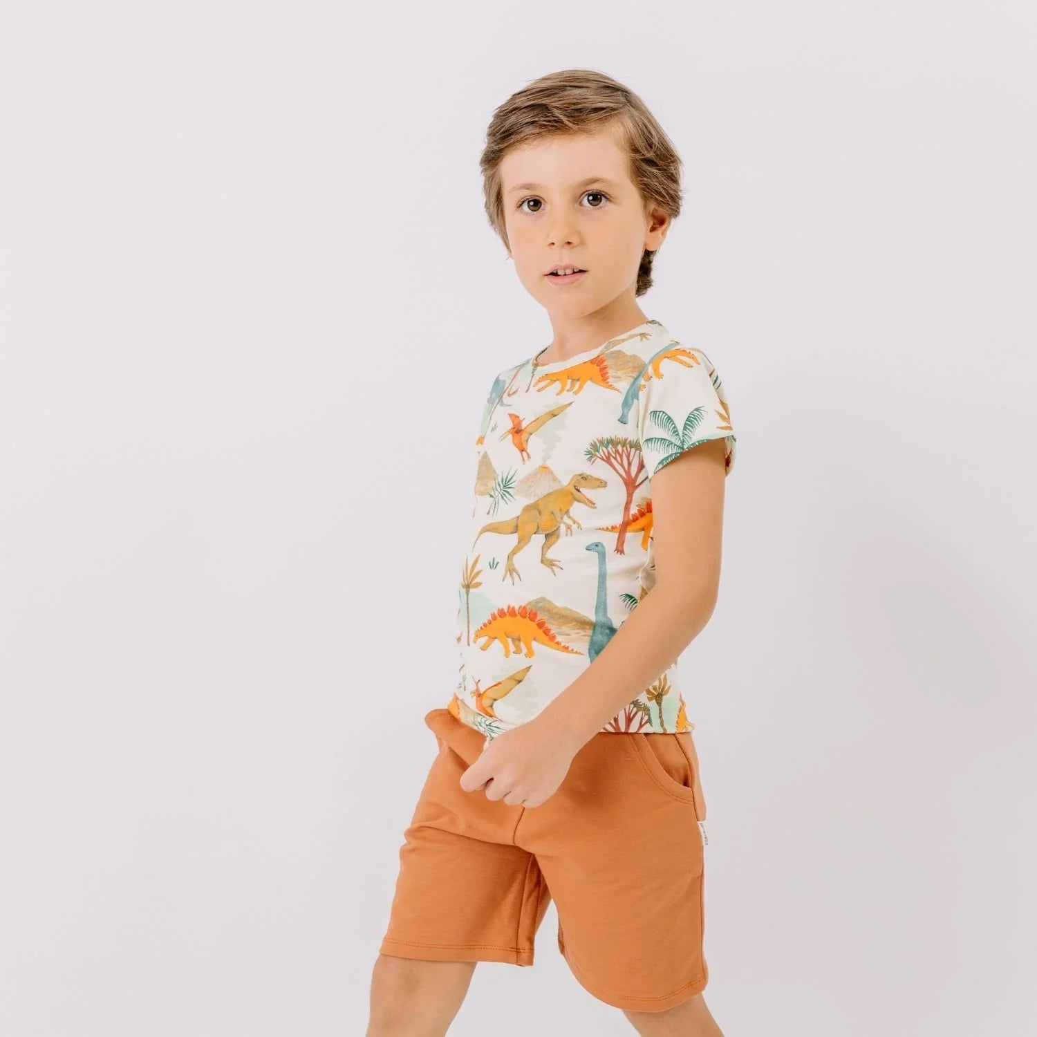 T-shirt Dinosaurs - Walkiddy