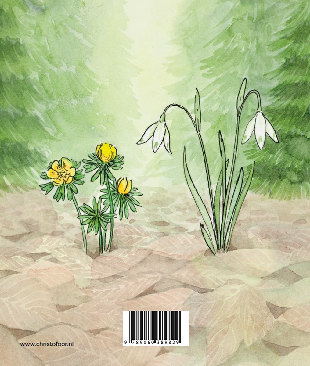 Spelen & ontdekken - Winter - Sophie Pluim