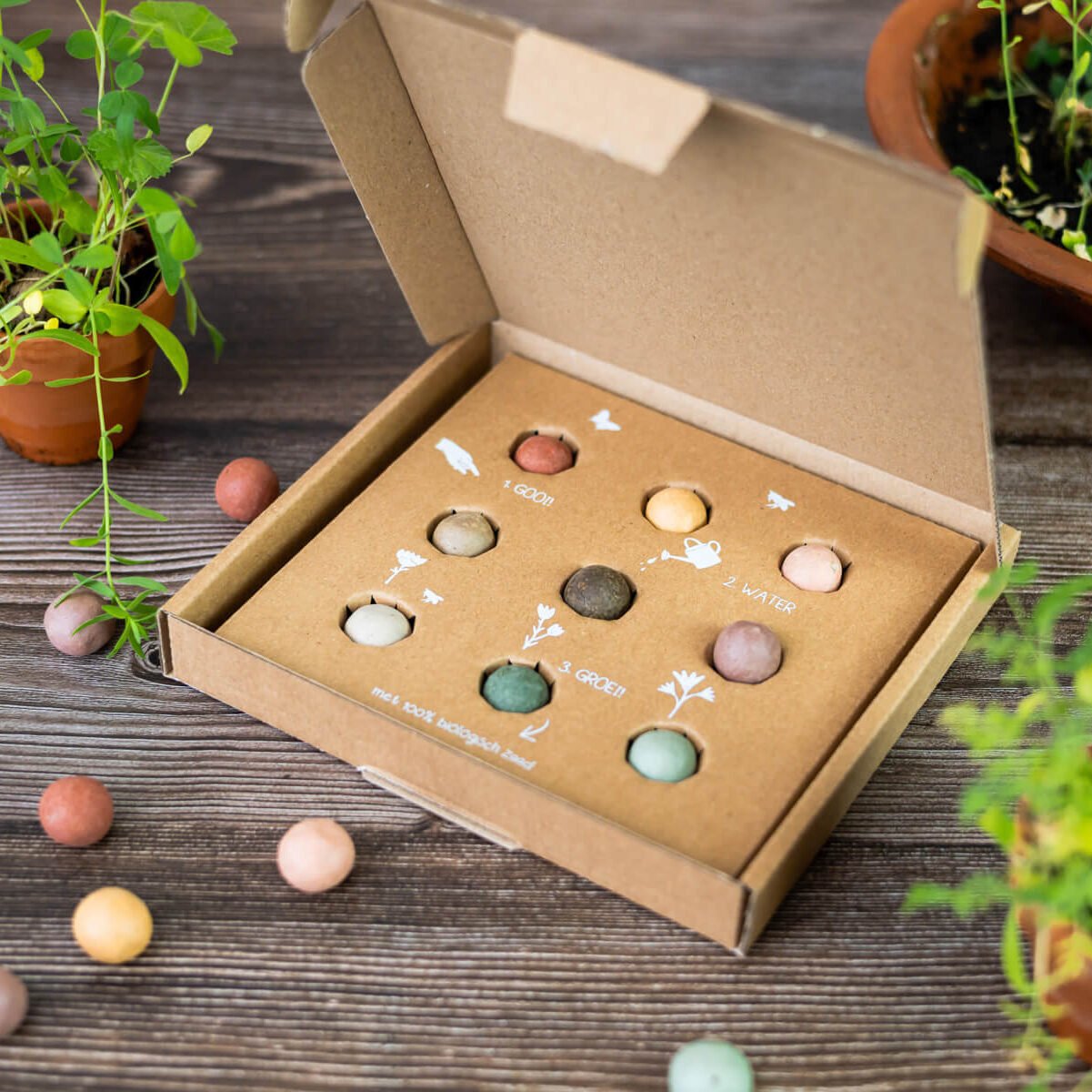 Zaadbommetjes Giftbox Medium "Hooray" 9 stuks - Blossombs