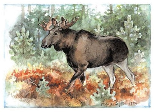 Kaart Älg Jämtland – Ingvar Björk - K. Hjelm Förlag