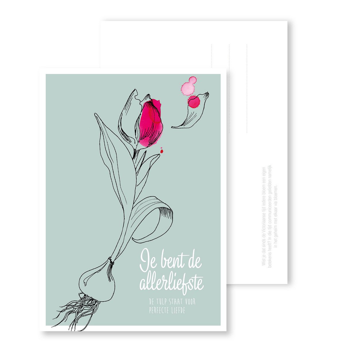 Cadeaudoosje 'De liefste moeder' 3 x bloemzadensoorten - Veer&Moon