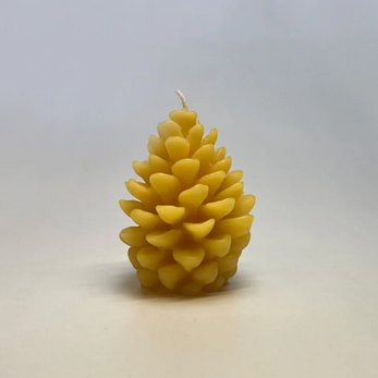 Dennenappel Bijenwas kaars – De Muisjes