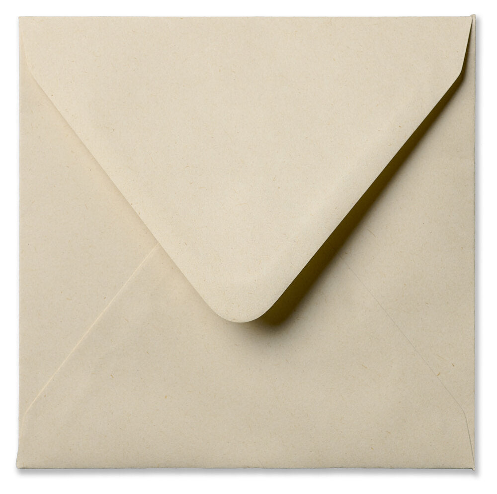 Losse Enveloppen Paperwise diverse afm. – Zintenz Organic Cards