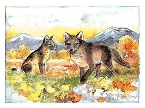 Kaart Fjällräv / poolvos - Ingvar Björk – K. Hjelm Förlag