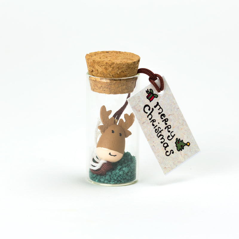 Geluksflesje Merry christmas Rendier – Sidedish