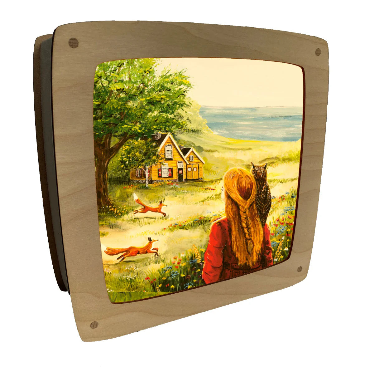 Toverplaat Het eiland - Illustrator under a blankie