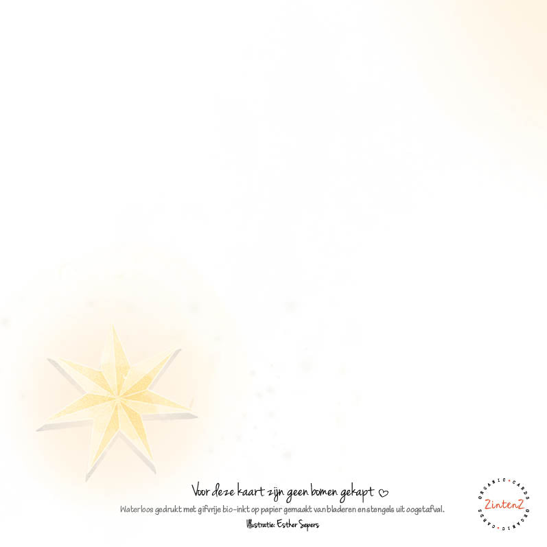 Eco Kerstkaarten Set 22 Esther 6 st. + 9 stickers – Zintenz