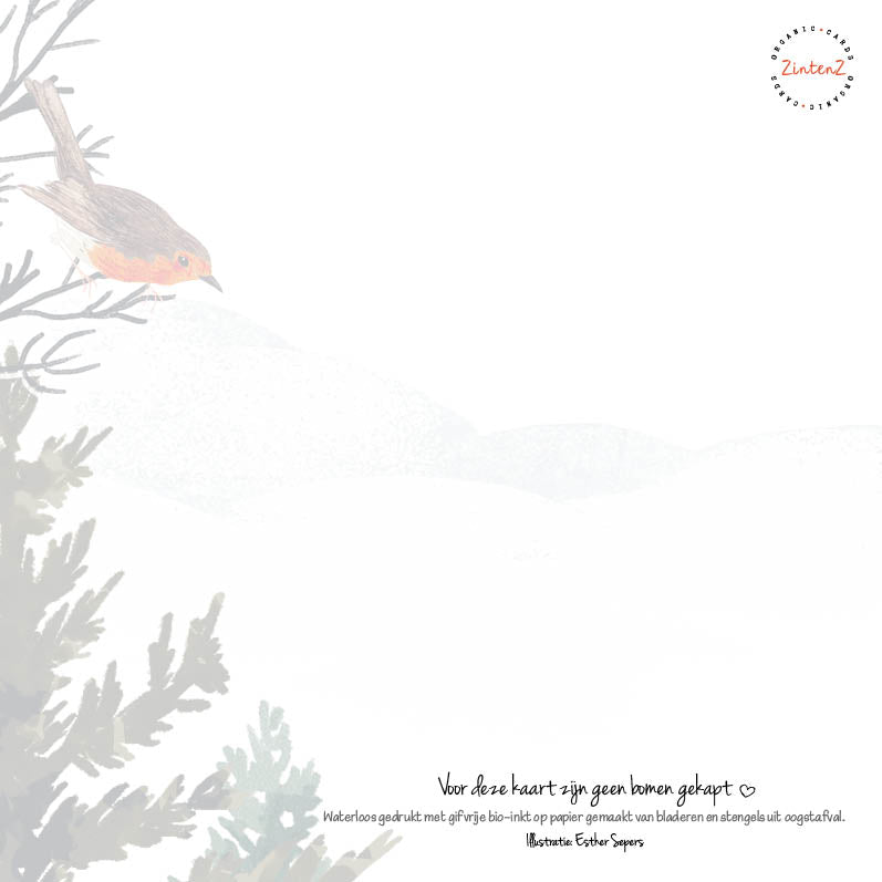 Eco Kerstkaarten Set 22 Esther 6 st. + 9 stickers – Zintenz