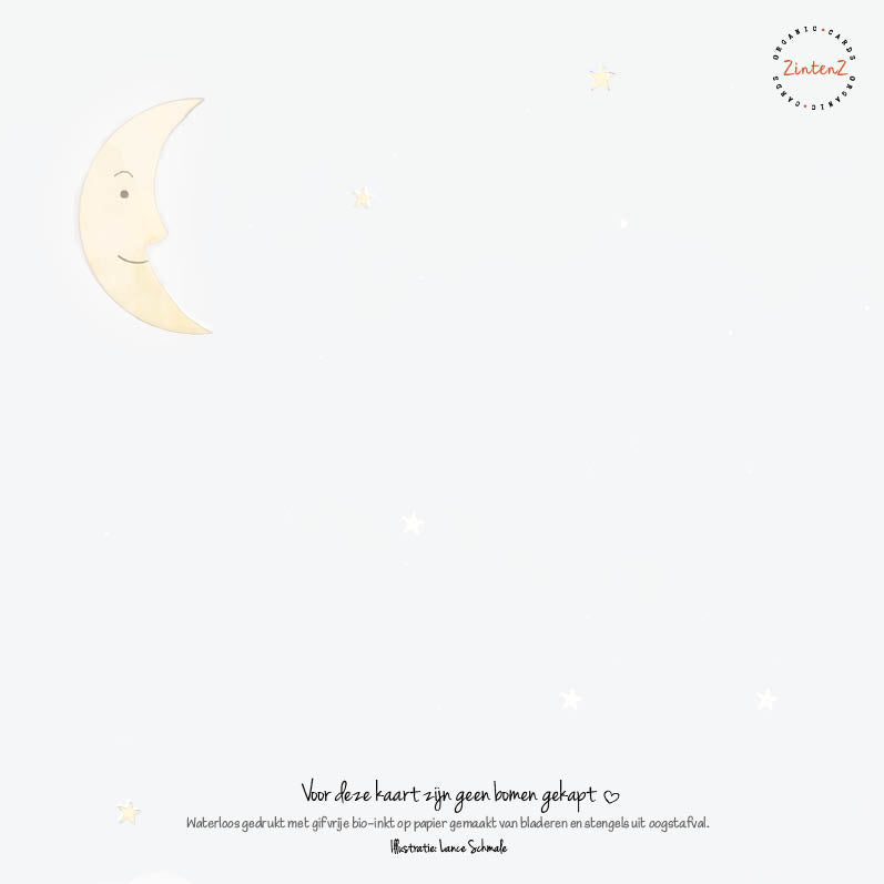 Eco Kerstkaarten Set 21 Lance 6 st. + 9 stickers – Zintenz