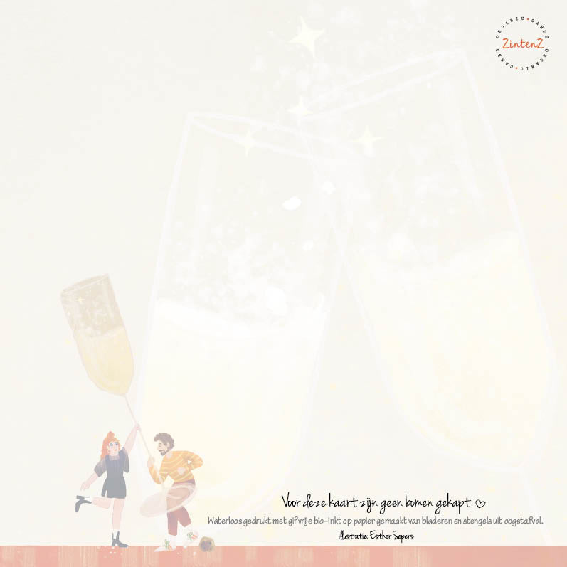 Eco Nieuwjaarskaarten 6 st. + 9 stickers – Zintenz