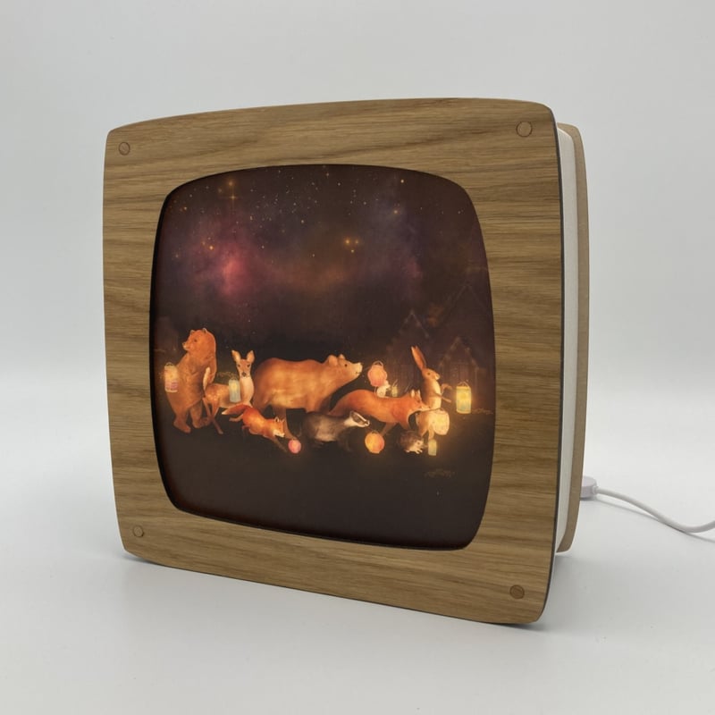 Toverplaat Lantern procession - Lotte Drouen