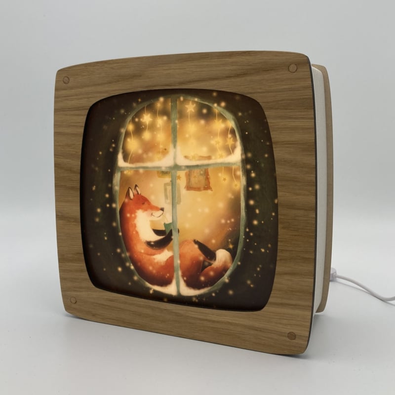 Toverplaat Snow in the Window - Lotte Drouen