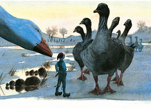 Kaart Niels Holgersson Schemering - Lars Klinting – K. Hjelm Förlag