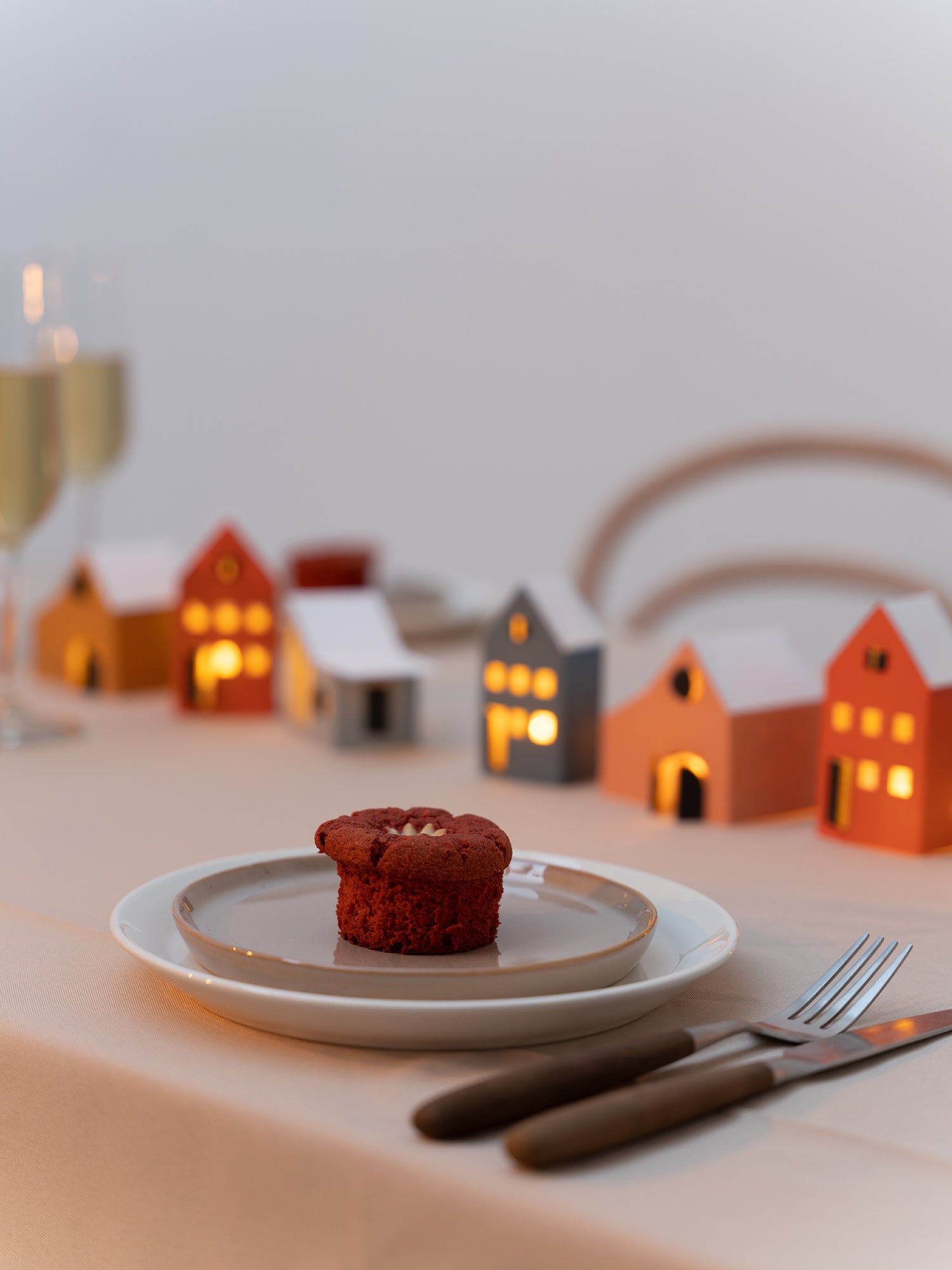 SAMLET tiny houses 12st – Jurianne Matter