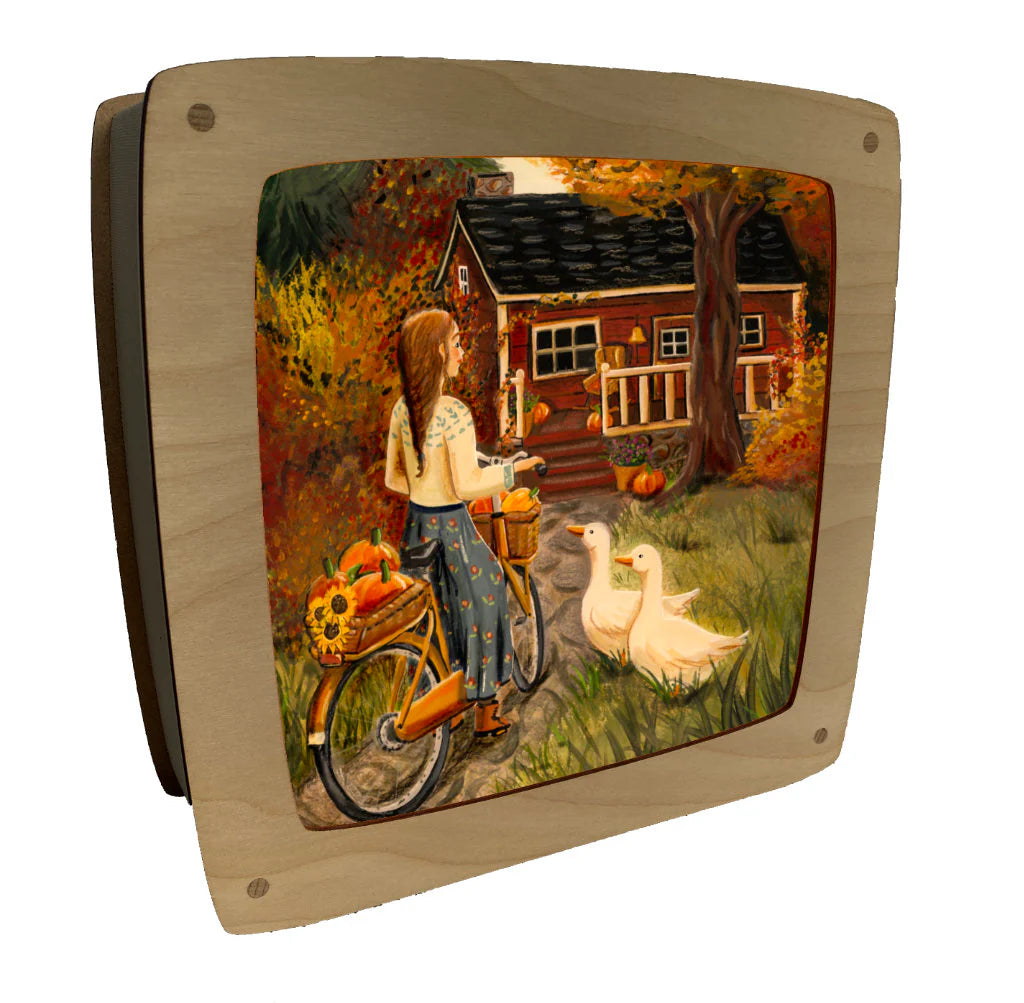 Toverplaat Thuiskomen - Illustrator under a blankie