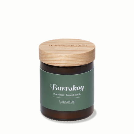 Pine Forest / Barrskog - Scented candle 150 g – Torplyktan