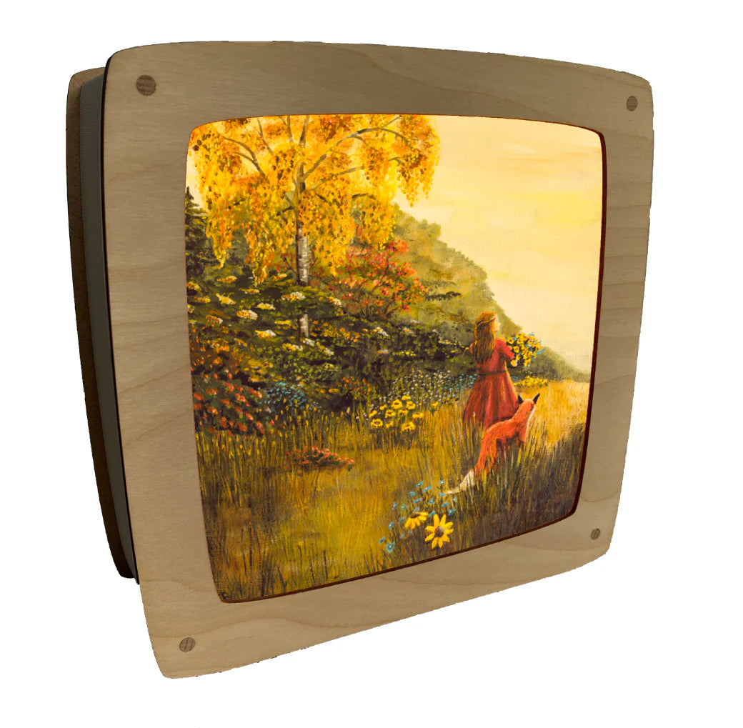 Toverplaat In het veld - Illustrator under a blankie