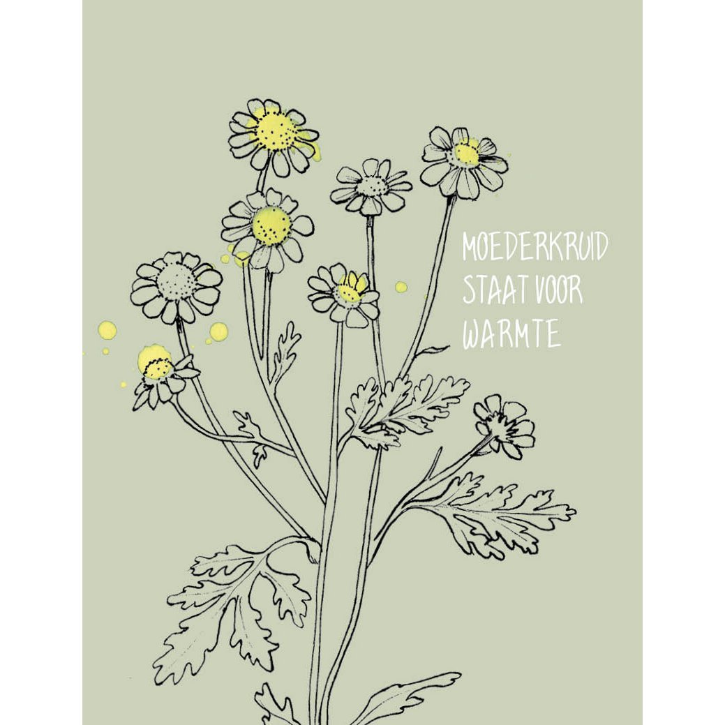 Cadeaudoosje 'De liefste moeder' 3 x bloemzadensoorten - Veer&Moon