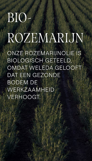 Voedende Haarolie – Weleda