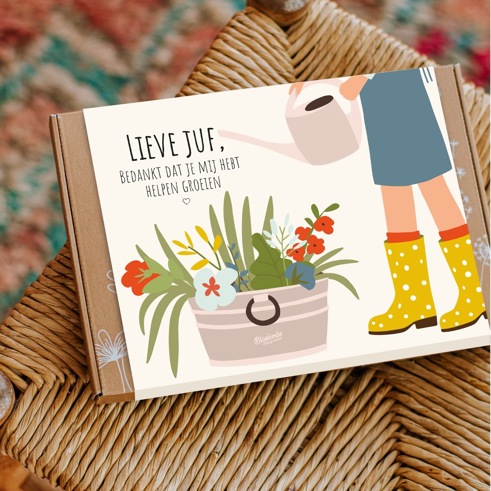 Zaadbommetjes Giftbox Small "Lieve Juf" - Blossombs