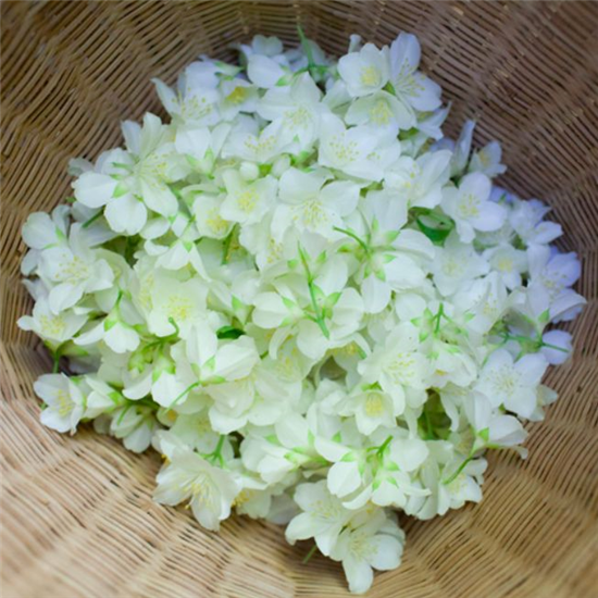 Seizoenszeep Zomer -Zeezoutscrub met Bosjasmijn – Werfzeep