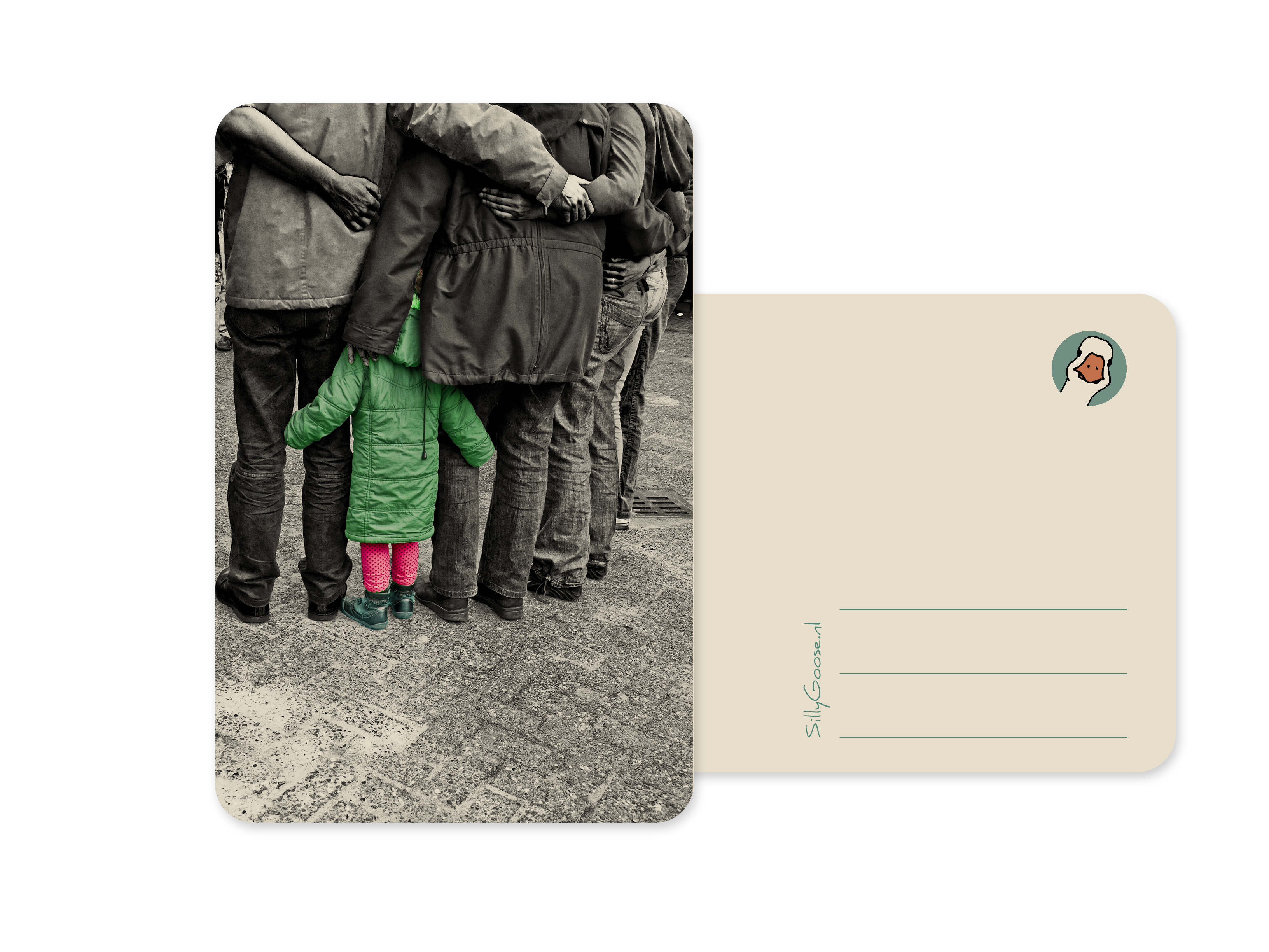 Postkaart Hug - Silly Goose